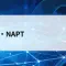 NATとNAPTとは？プライベートIPがインターネットを使える仕組みをやさしく解説【第23回】